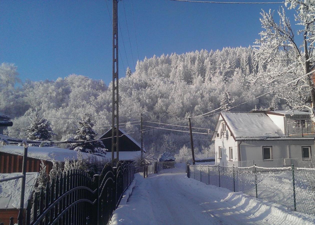 Apartament Nad Strumykiem Daire Tylicz Dış mekan fotoğraf